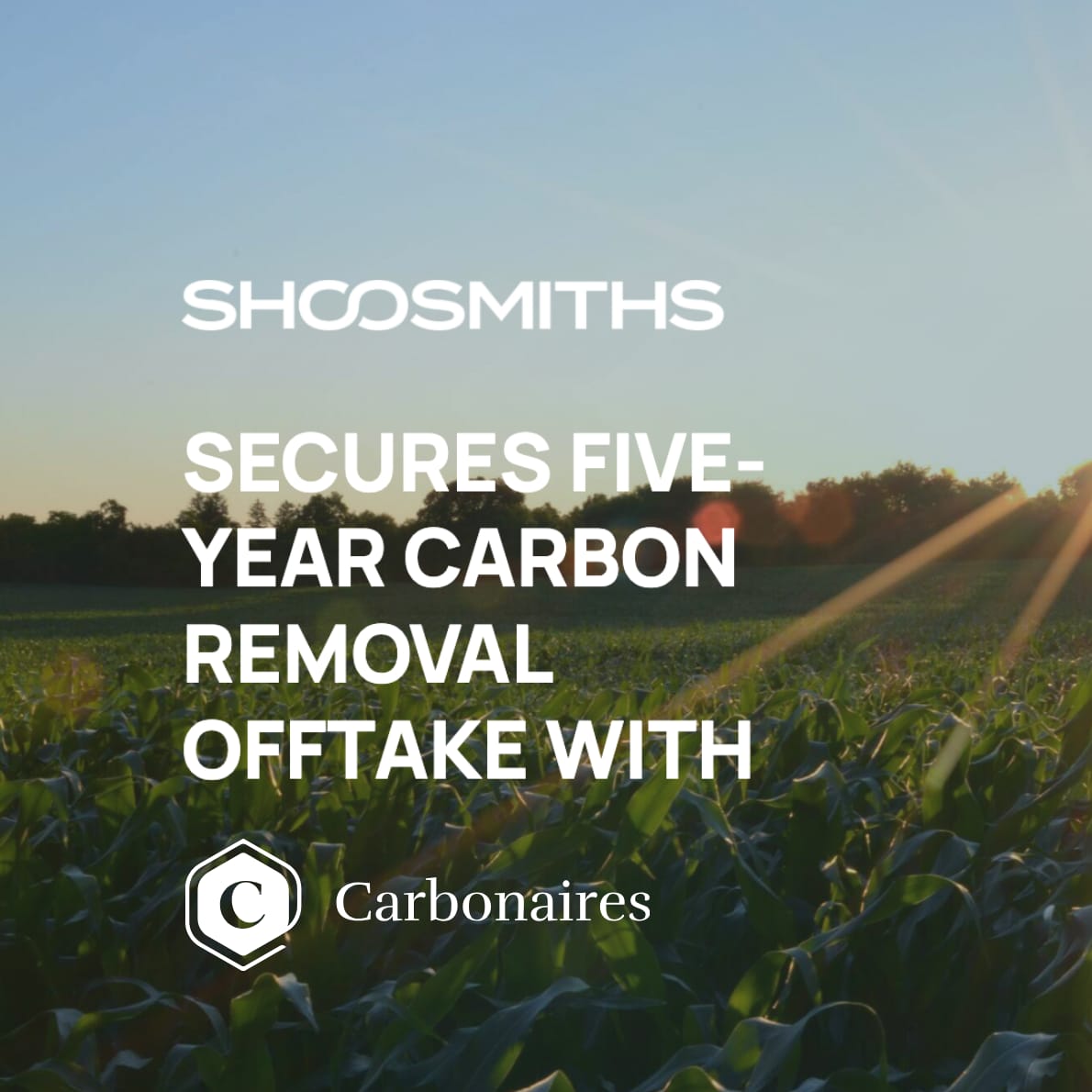 Shoosmiths secures five-year carbon removal offtake with Carbonaires