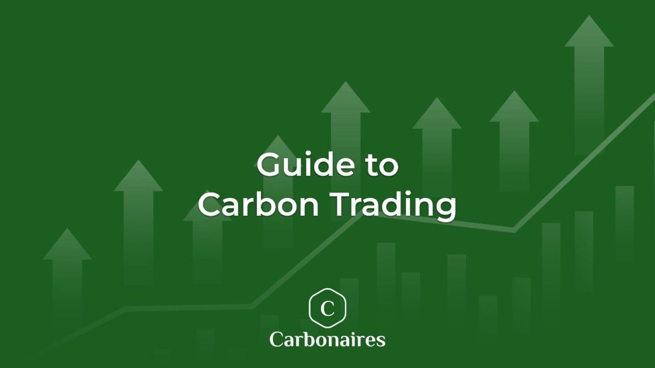Guide to Carbon Trading