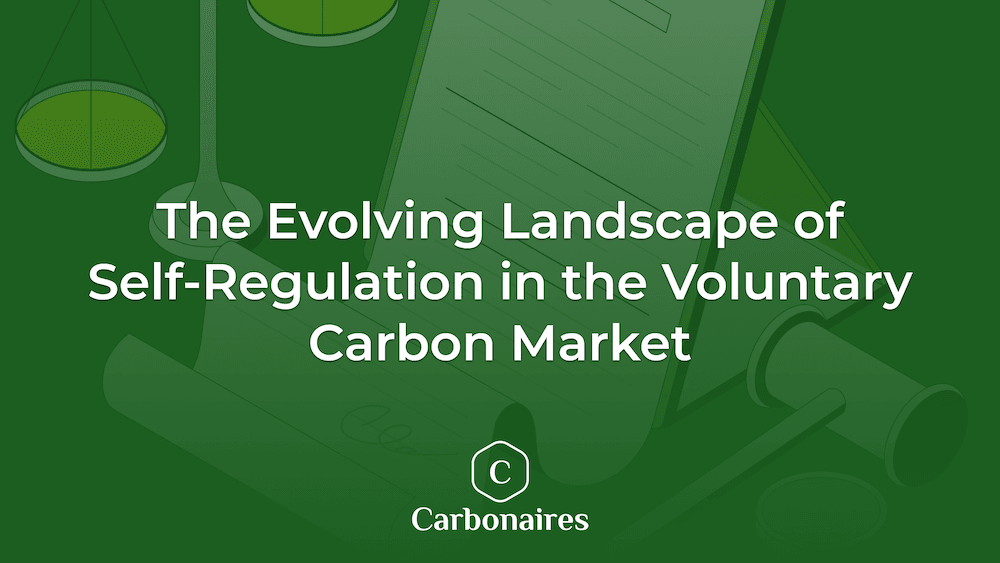 The Evolving Landscape of Self-Regulation in the Voluntary Carbon Market