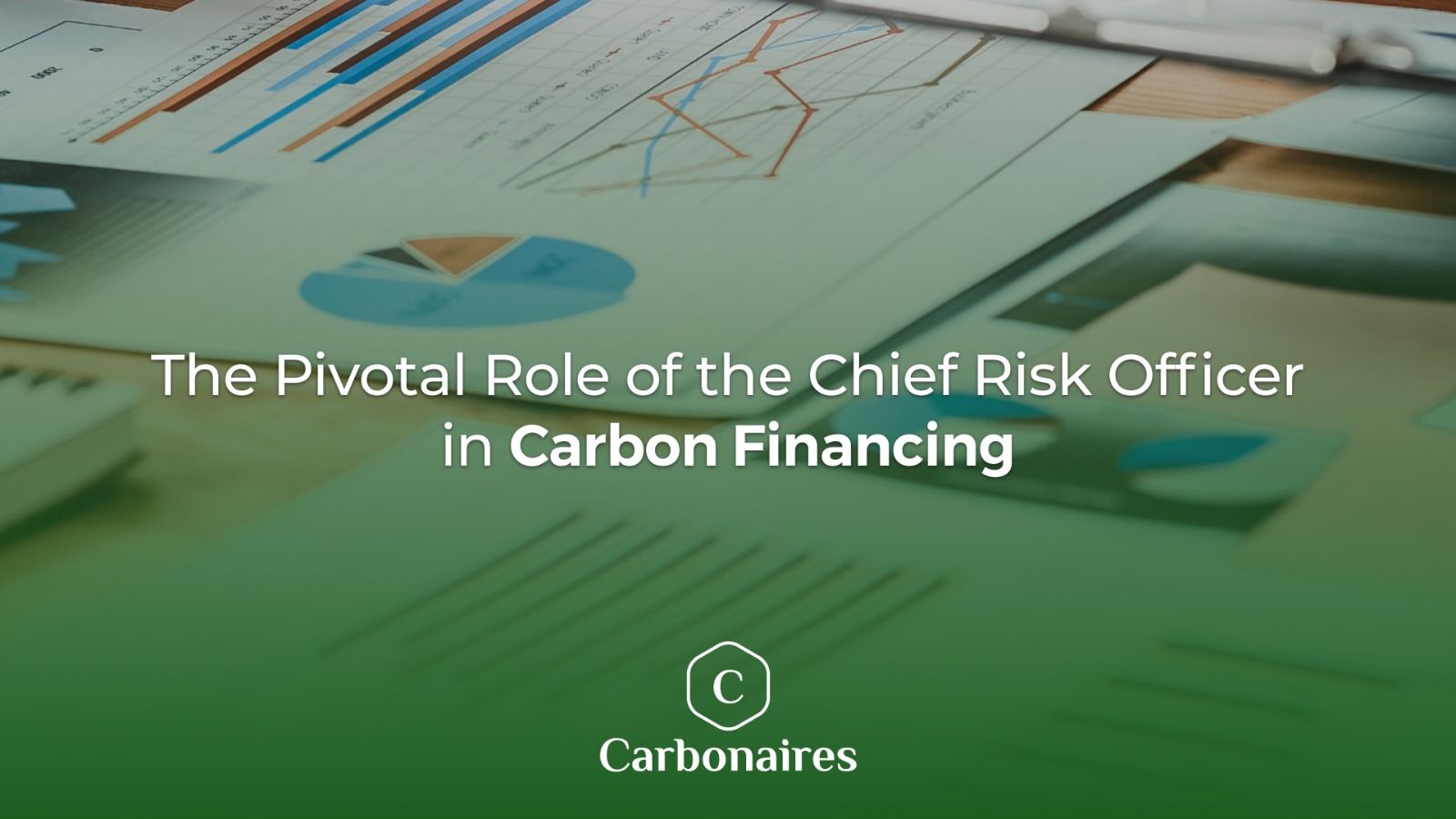 The Pivotal Role of the Chief Risk Officer in Carbon Financing