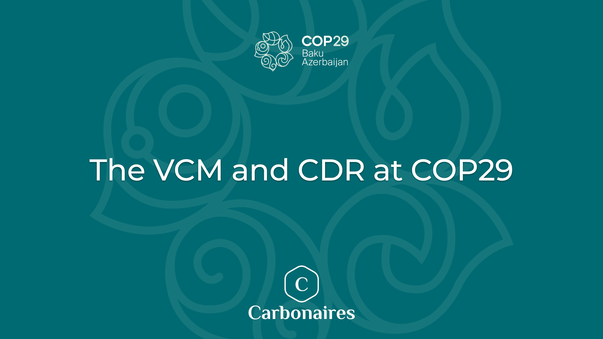 The VCM and CDR at COP29